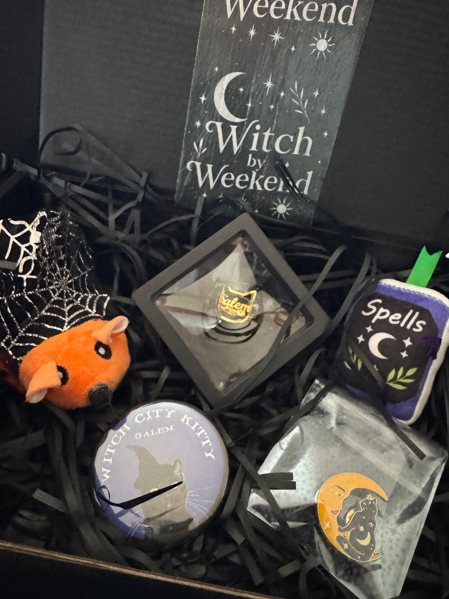 Witch City Kitty πββ¬