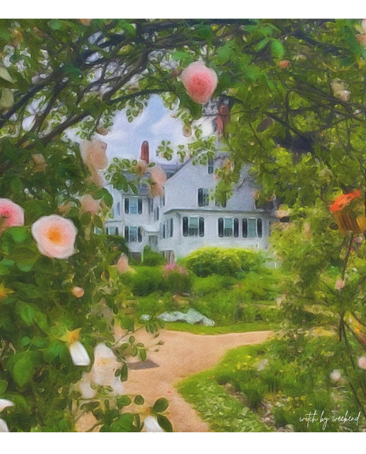 Roses at the Ropes — 8x8 Fine Art Matte Print | Witch by Weekend Original - Witch by Weekend 